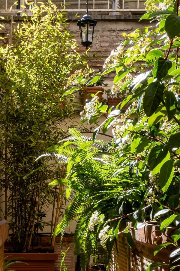 Apartamento Domus Maya Colosseum